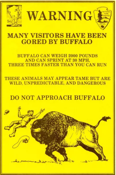 Bison Warning Sign400x603